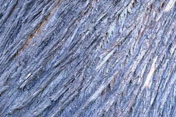 Wood texture for design