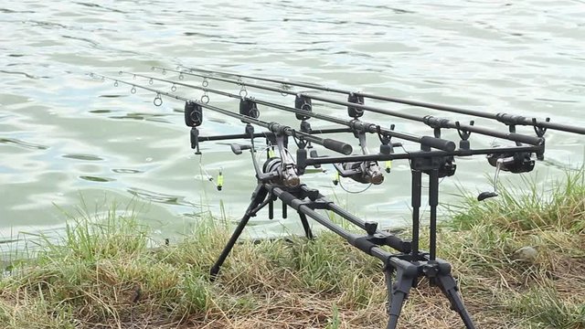 Carp fishing, rodpod on a wooden platform on a pond