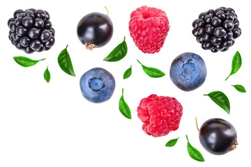 blackberry blueberry raspberry black currant isolated on white background with copy space for your text. Top view. Flat lay pattern