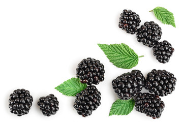 blackberry with leaf isolated on a white background. With copy space for your text. Top view. Flat lay