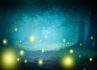 misty 
