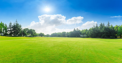 Green grass and blue sky with white clouds in summer season