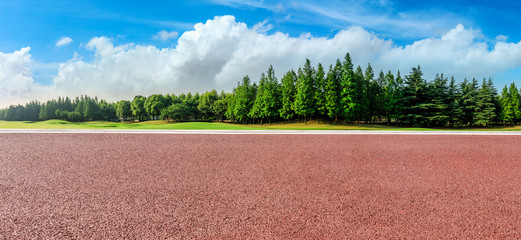 Empty road and green woods nature landscape in summer © ABCDstock