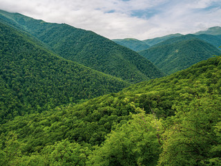 Fototapeta premium Green mountains in Dilijan national park, Armenia