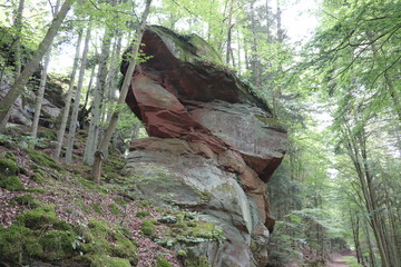 Burgruinen auf dem drei Burgen Rundweg in Erfenstein