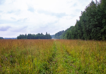 Beaten path through the field to the village