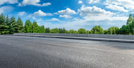 Country asphalt road and green woods nature landscape in summer