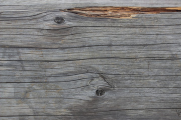 Wooden logs close-up, log in the grass. Wooden table and bench in the forest. Wood as background and texture.