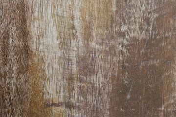 Obraz premium Wood texture for design