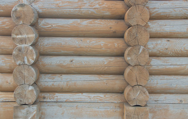 Wooden logs close-up, log in the grass. Wooden table and bench in the forest. Wood as background and texture.