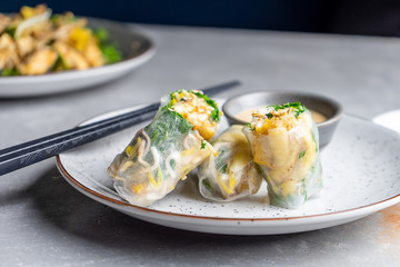 Close up Asian spring roll with tofu. Pan-asian food. Street food concept with copy space. Grey background. Flat lay food for lunch or snack. Vegan, healthy, balanced meal. No animal meat concept
