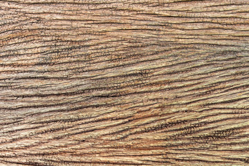 Brown wood texture. Abstract background, empty template