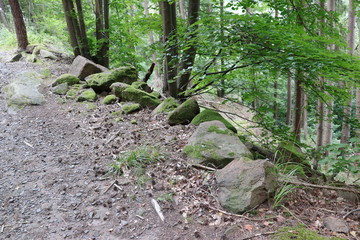 Burgruinen auf dem drei Burgen Rundweg in Erfenstein
