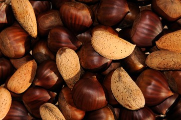 Chestnuts and almonds collected from the Serrania de Ronda, Andalusia, Spain.
