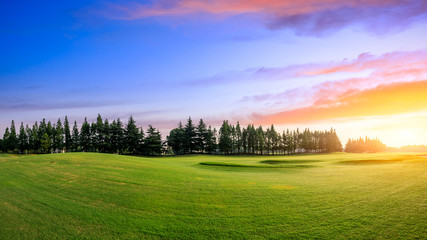 Green grass and forest with beautiful clouds at sunset