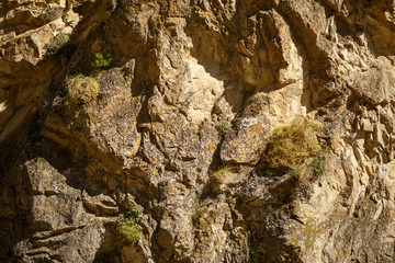 Image of rocky terrain with green plants