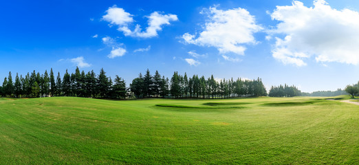 Green grass and blue sky with white clouds in summer season