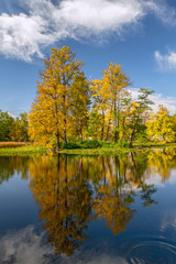 Beautiful autumn landscape. Yellow  trees and blue sky reflected in calm water. Autumn sunny day. Europe.