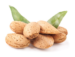 Almond nuts with leaves