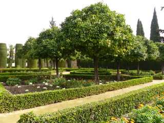 Jardin con bonitos árboles