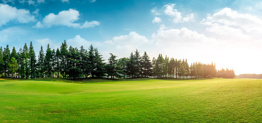 Green grass and blue sky with white clouds in summer season