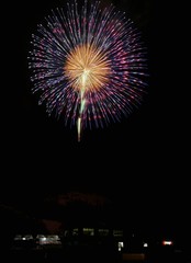 《大曲の花火》秋田県大仙市
