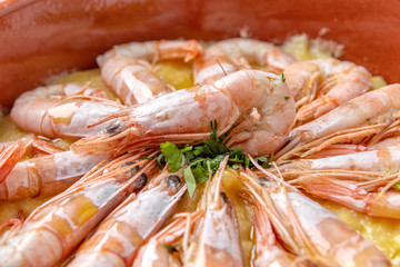 Boiled shrimp symmetrically laid in a plate. With green parsley.