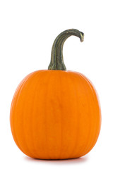 One orange pumpkin