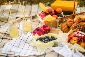 Picnic in the park on the tablecloth