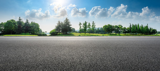 Country asphalt road and green woods nature landscape in summer - obrazy, fototapety, plakaty