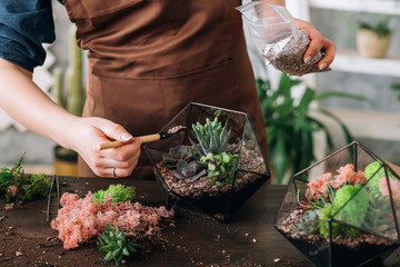 DIY florarium. Handmade natural interior decor. Cropped shot of woman planting succulents.