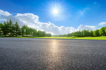 Country road and green woods nature landscape in summer