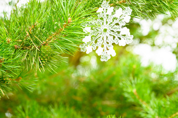 Fototapeta na wymiar Christmas toy snowflake on a pine branch in the forest
