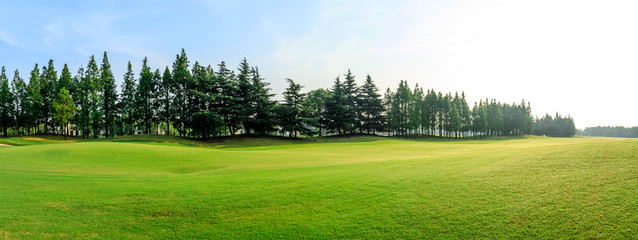 Green grass and blue sky with white clouds in summer season © ABCDstock