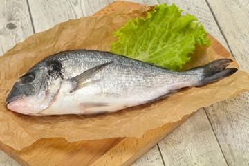 Raw Dorada fish  for cooking