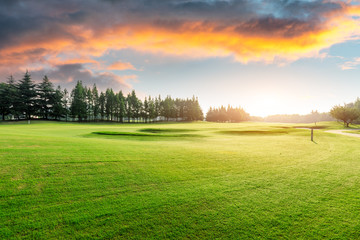 Green grass and forest with beautiful clouds at sunset