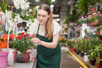 Fototapeta na wymiar Female florist wearing an apron working in the floral shop