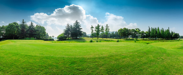 Green grass and blue sky with white clouds in summer season