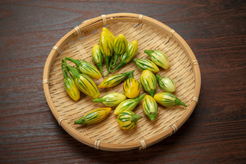 ストライプドトガ