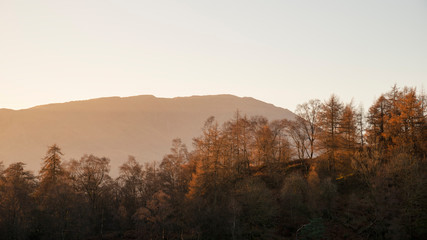 Fototapeta na wymiar Beautiful Autumn Fall landscape image of larch and pine trees silhouetted against orange glow of sunset with mountain range in distance in Lake District UK