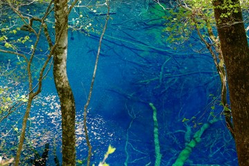 《十二湖の四季》青森県深浦町