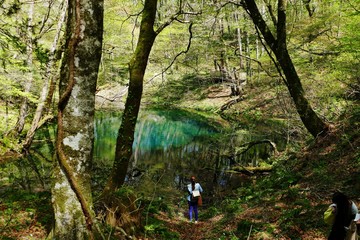 《十二湖の四季》青森県深浦町