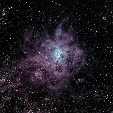 Tarantula Nebula (NGC2070)