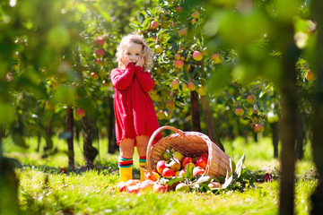 Kids picking apples on farm in autumn.