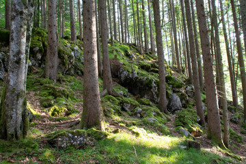 Benediktenwand und Umgebung