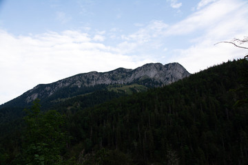 Benediktenwand und Umgebung
