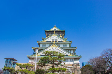 Osaka castle on a clear day the sky bright during sakura blossom time are going to bloom, Japan.