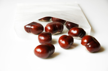 Chestnuts collection on a table with a white paper bag