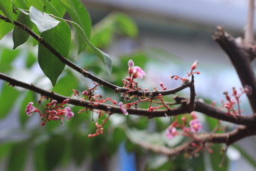 Night twilight blurred bokeh floating market water front, abstract background