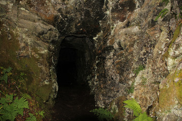 Obraz premium ancient, mysterious, dark stone cave in the mountains of Norway on the background of green ferns